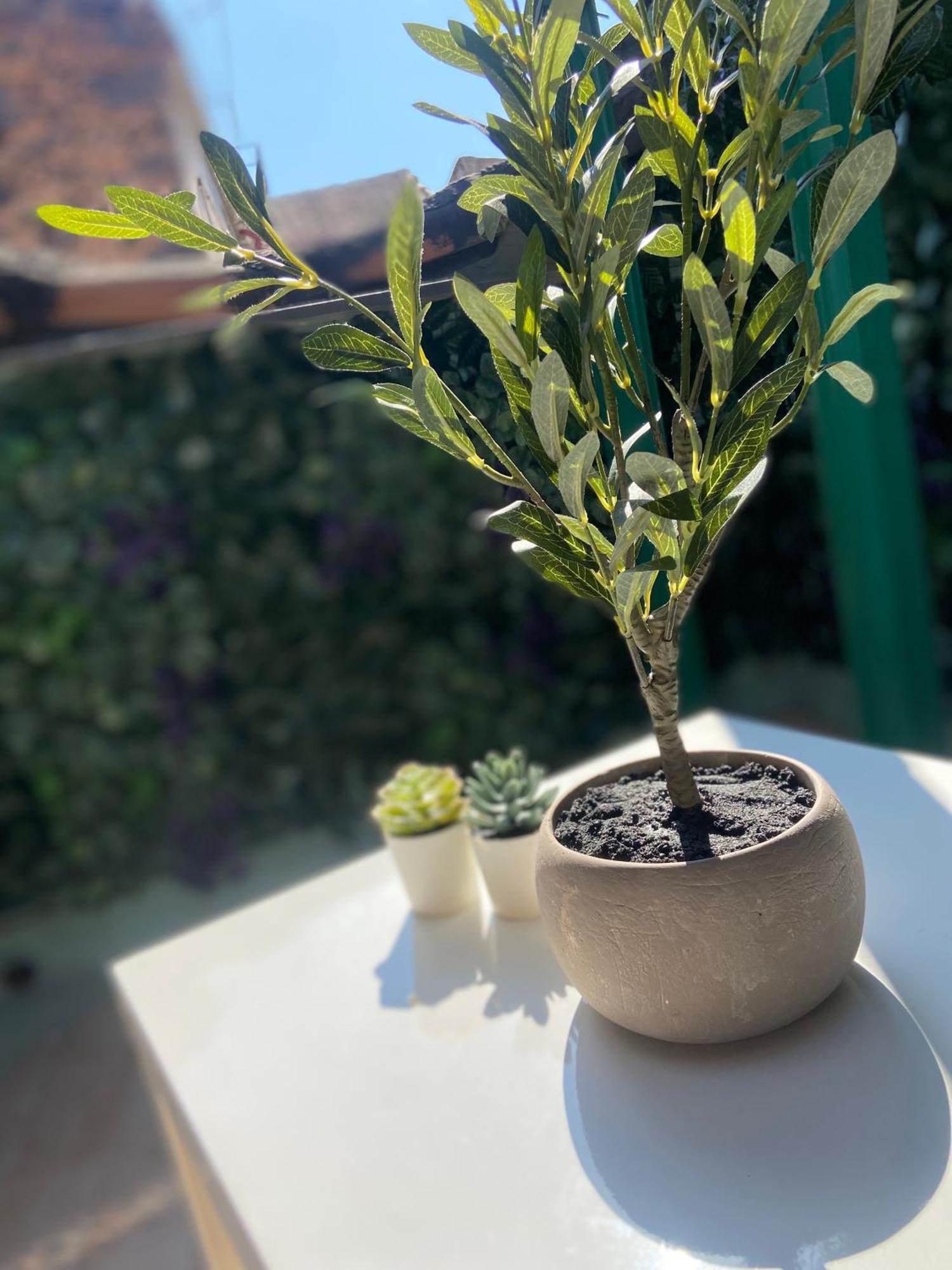 הוילה קטאניה La Casa Di Noah מראה חיצוני תמונה